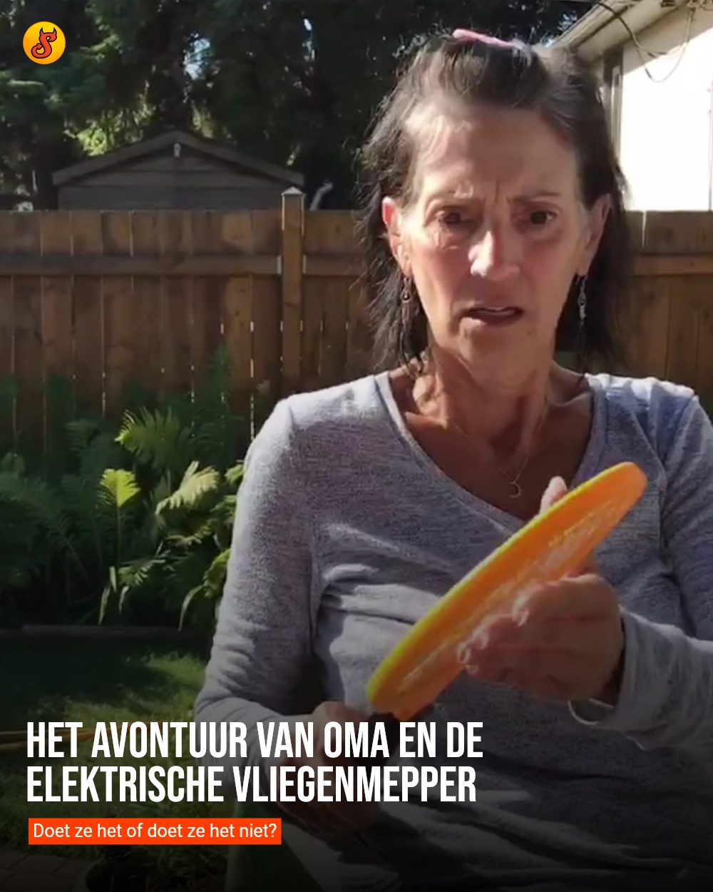 Het avontuur van oma en de elektrische vliegenmepper