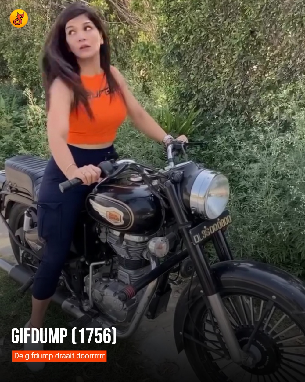 Gifdump (1756)