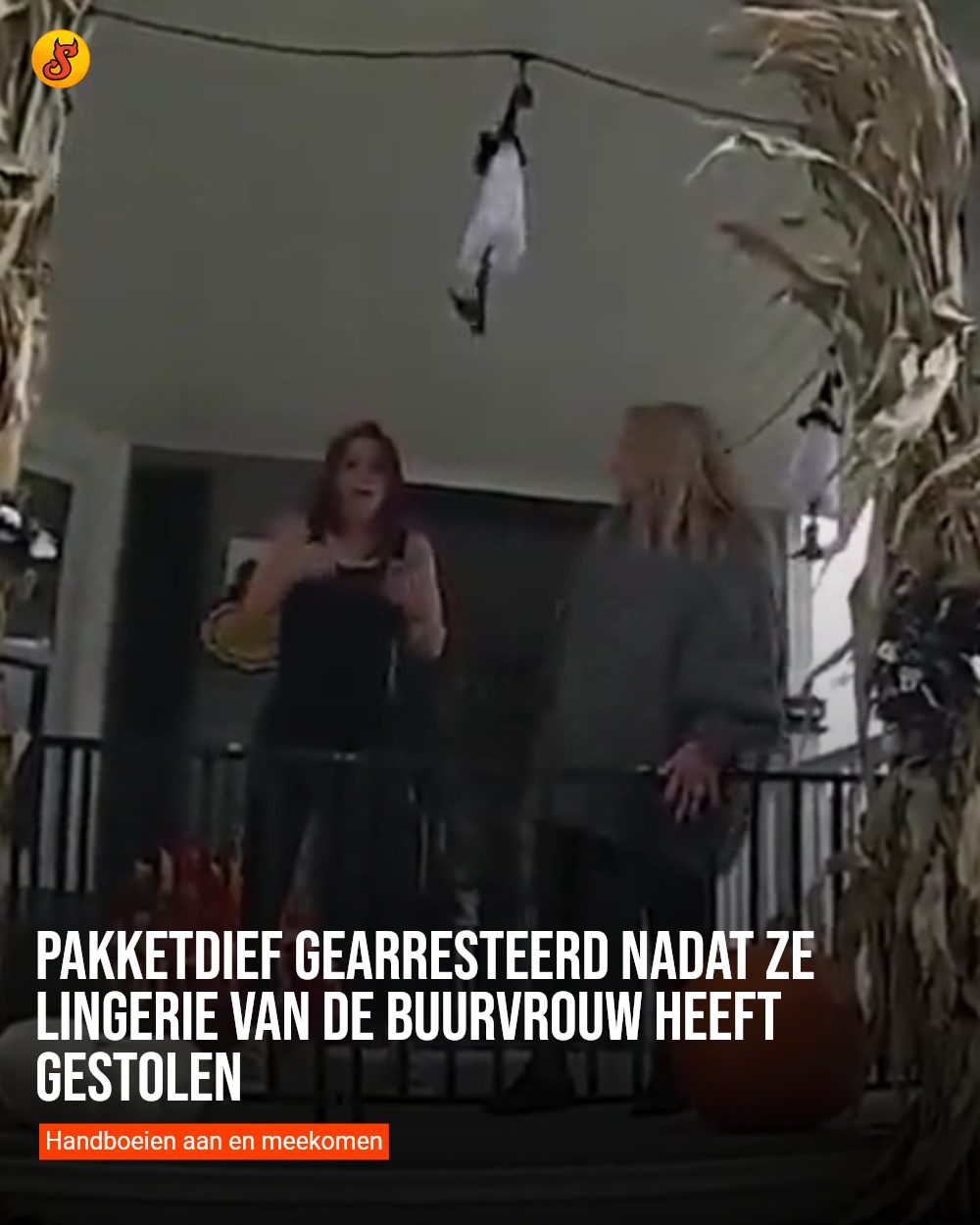 Pakketdief gearresteerd nadat ze lingerie van de buurvrouw heeft gestolen