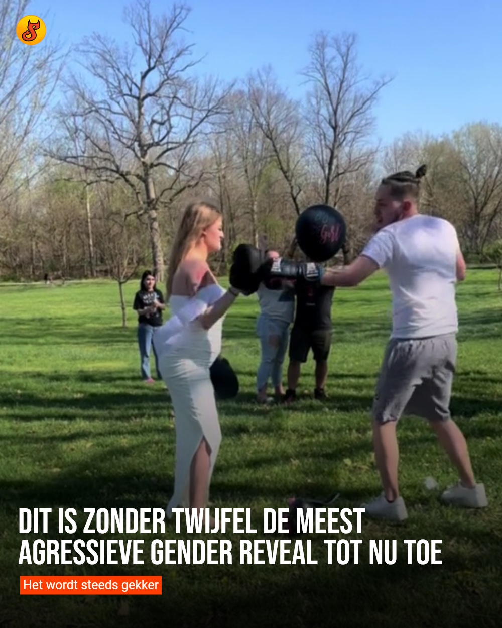 Dit is zonder twijfel de meest agressieve gender reveal tot nu toe
