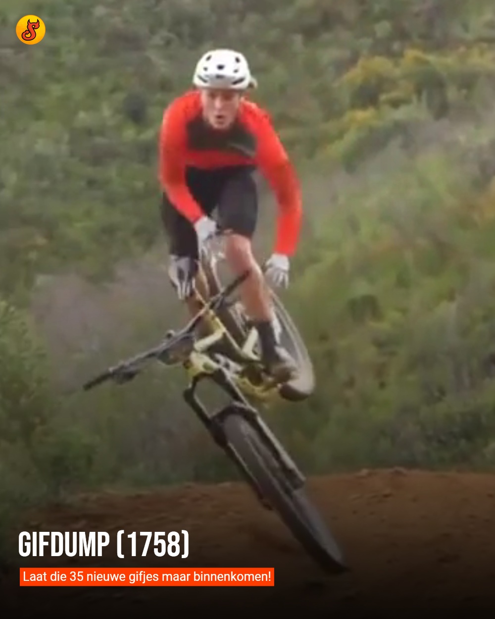 Gifdump (1758)