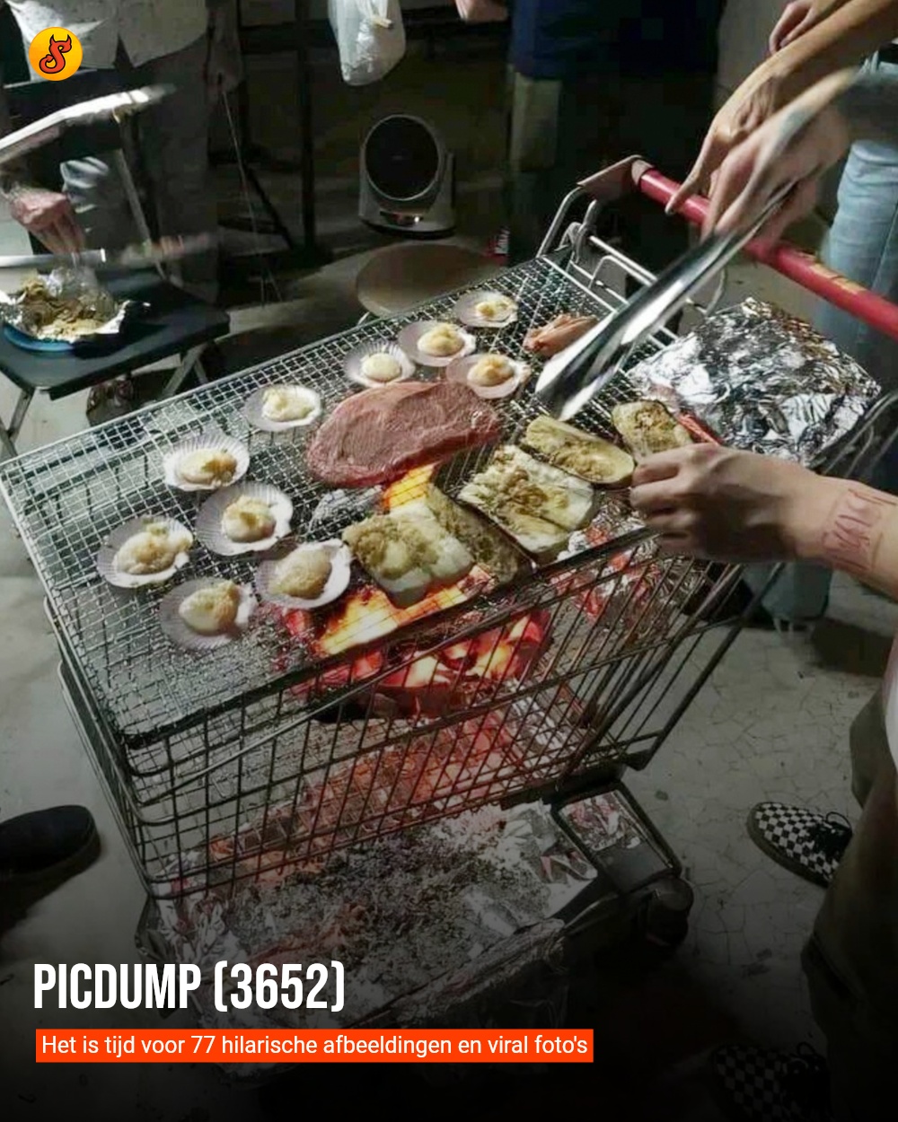 Picdump (3652)