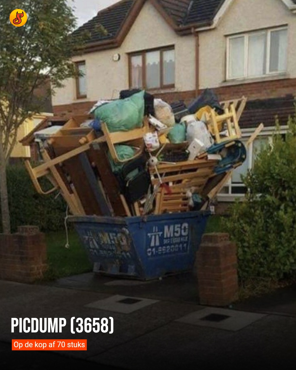 Picdump (3658)