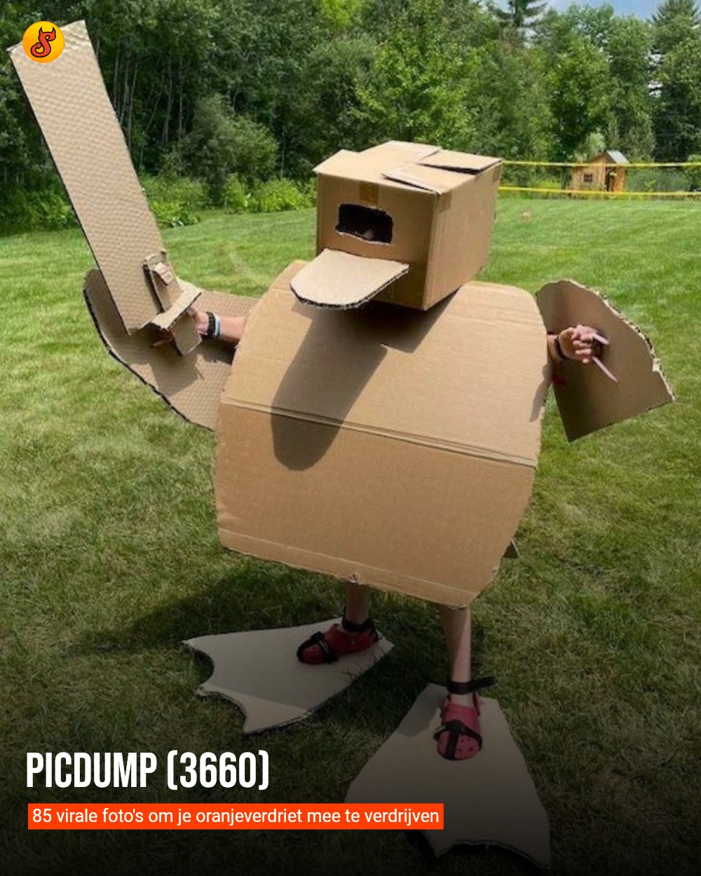 Picdump (3660)