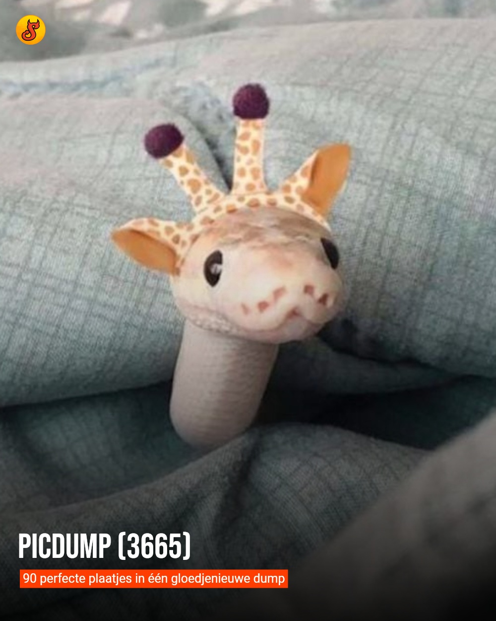 Picdump (3665)