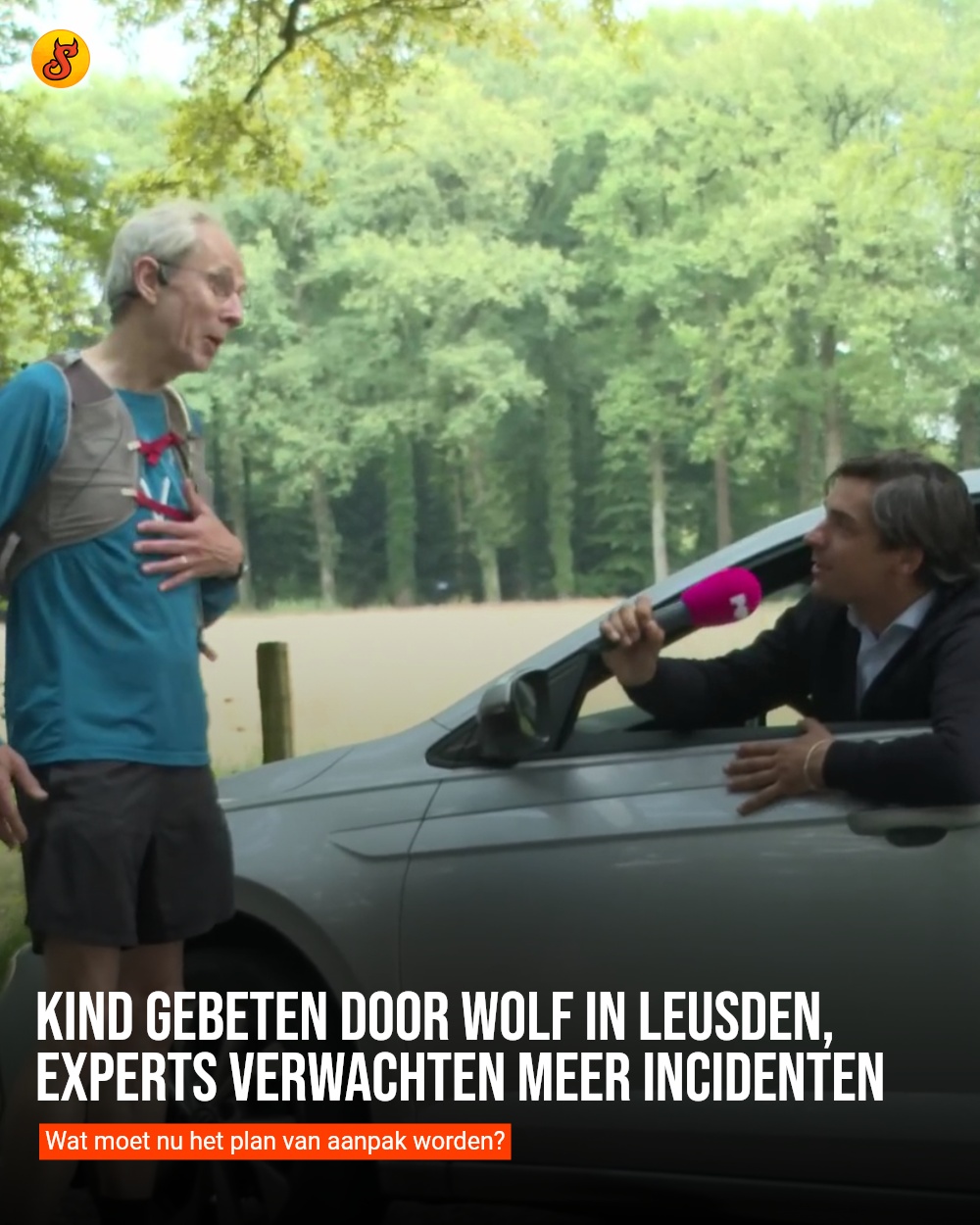 Kind gebeten door wolf in Leusden, experts verwachten meer incidenten
