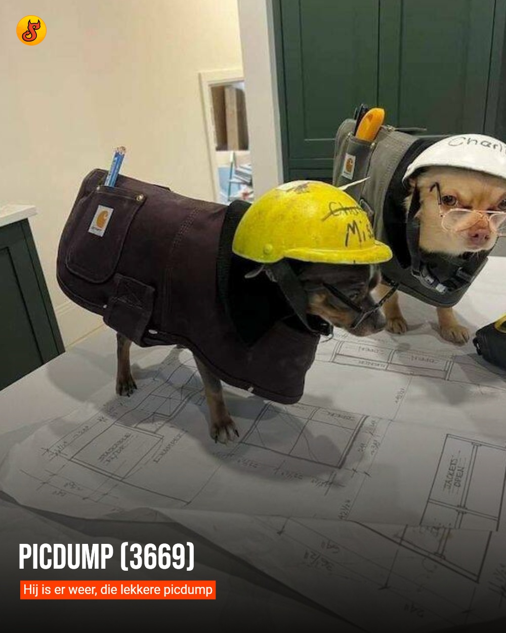 Picdump (3669)