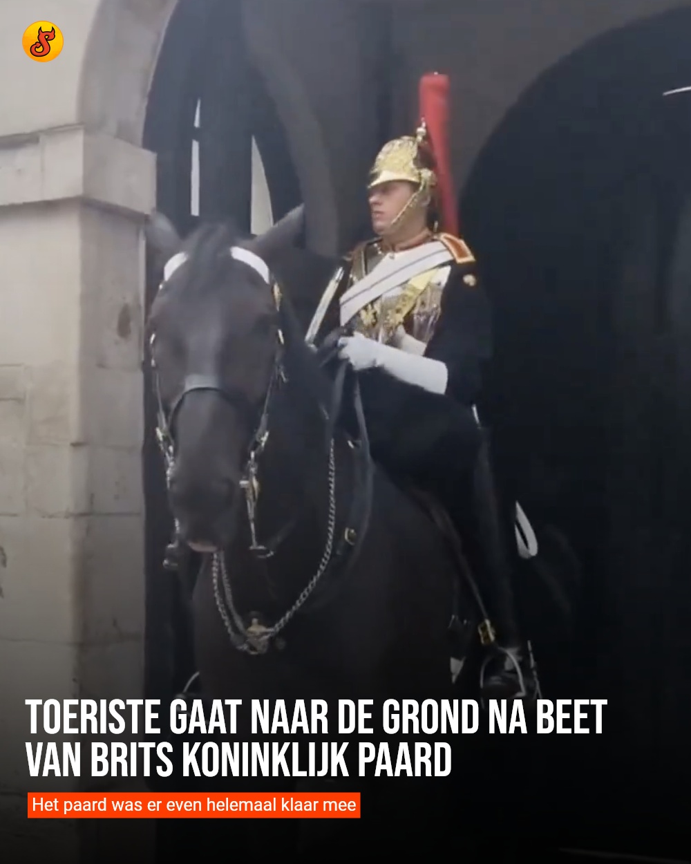 Toeriste gaat naar de grond na beet van Brits koninklijk paard