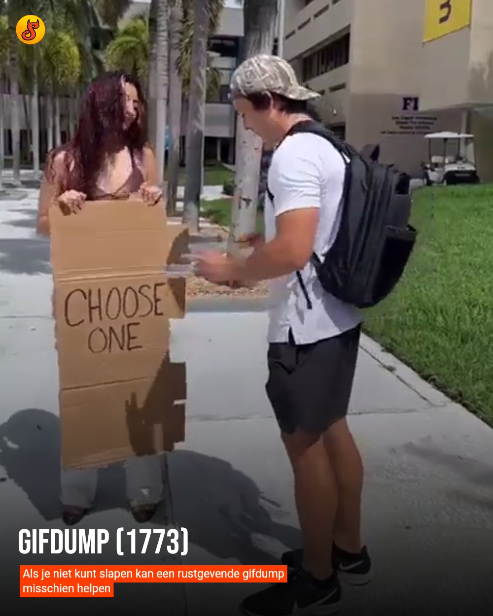 Gifdump (1773)