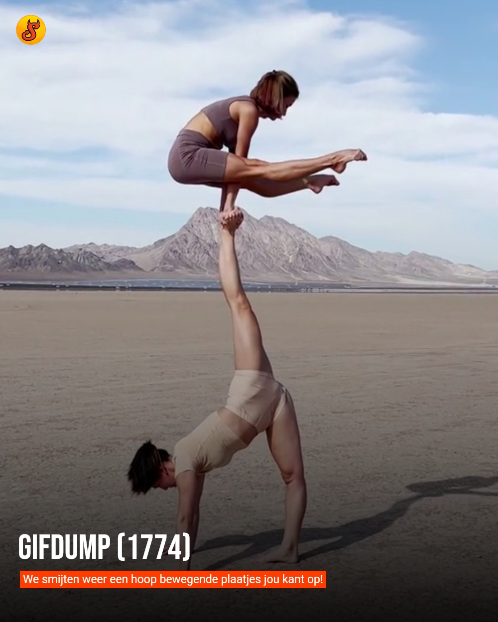 Gifdump (1774)