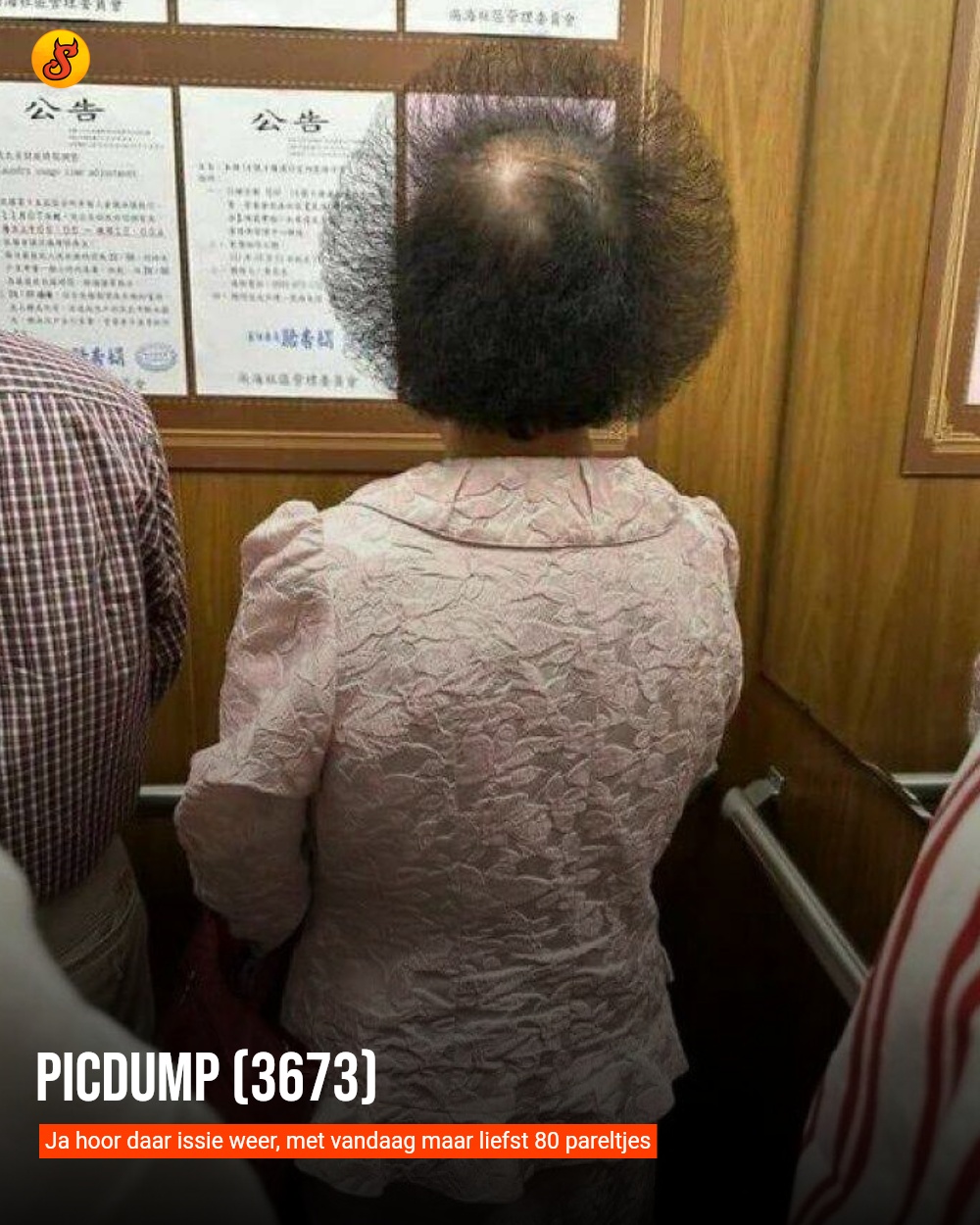 Picdump (3673)