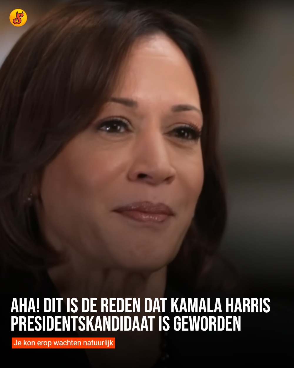 Aha! Dit is de reden dat Kamala Harris presidentskandidaat is geworden