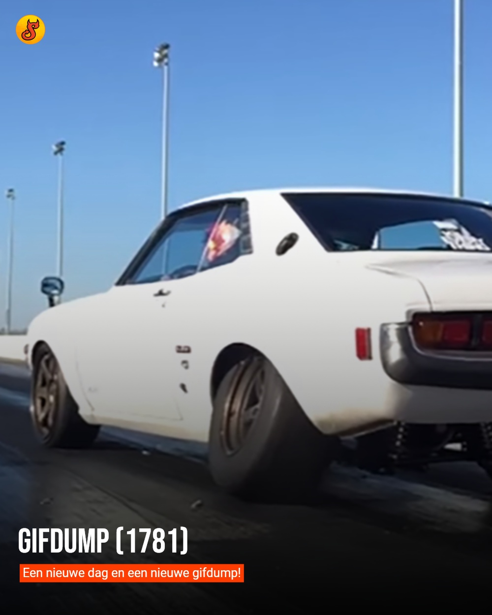 Gifdump (1781)