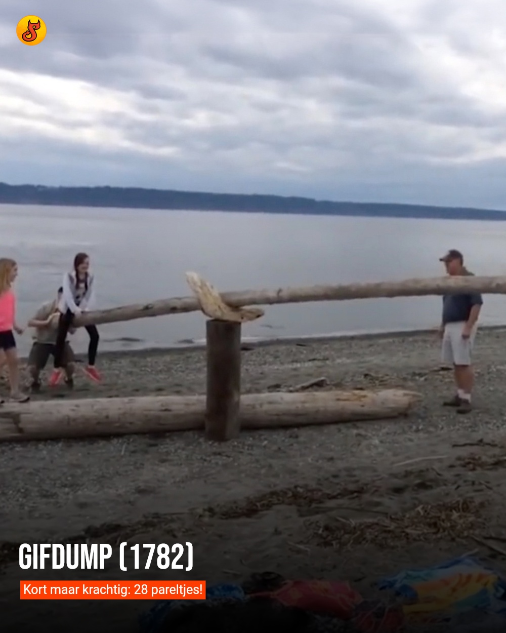 Gifdump (1782)