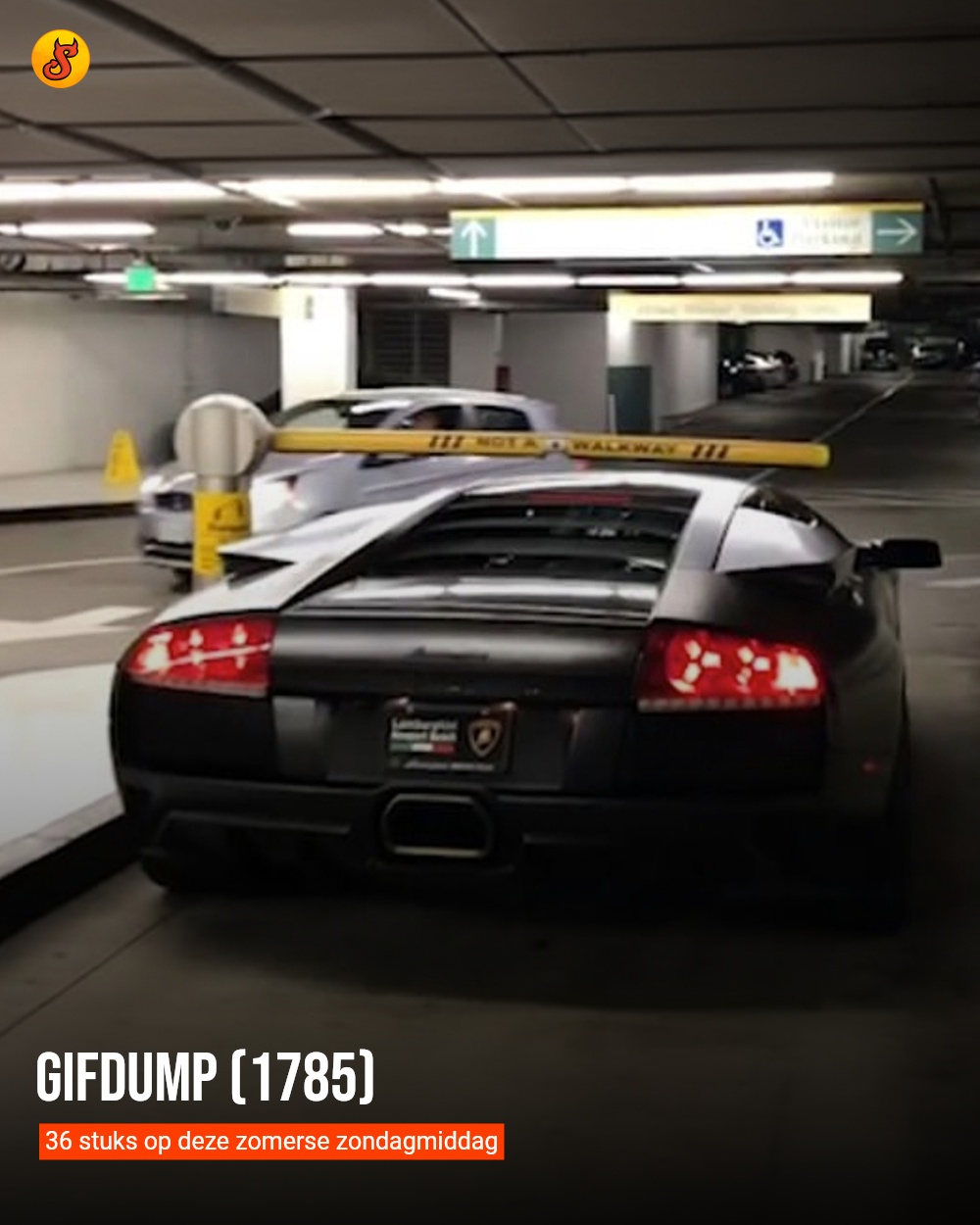 Gifdump (1785)