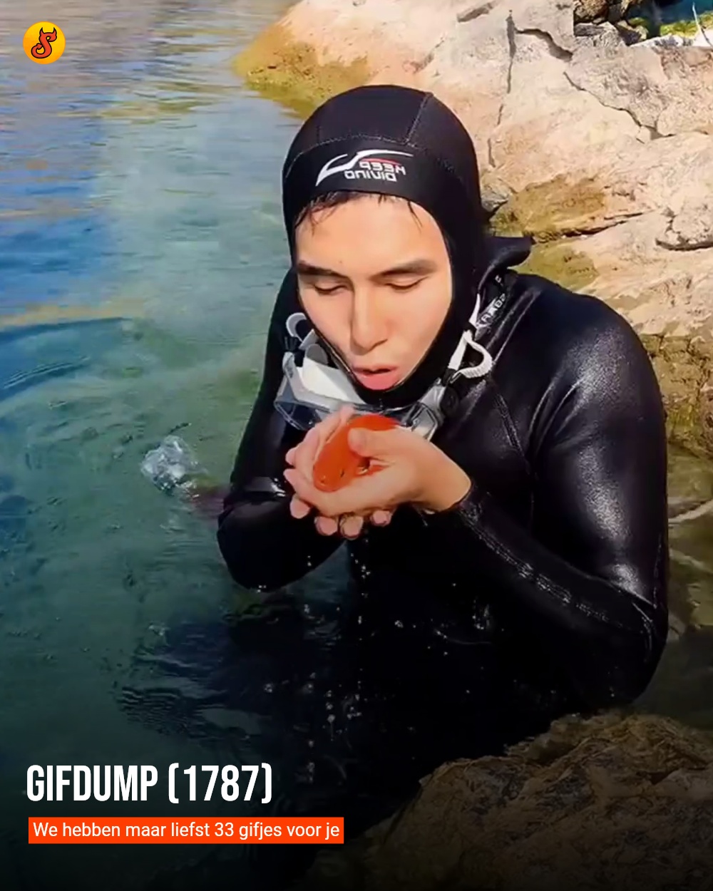 Gifdump (1787)
