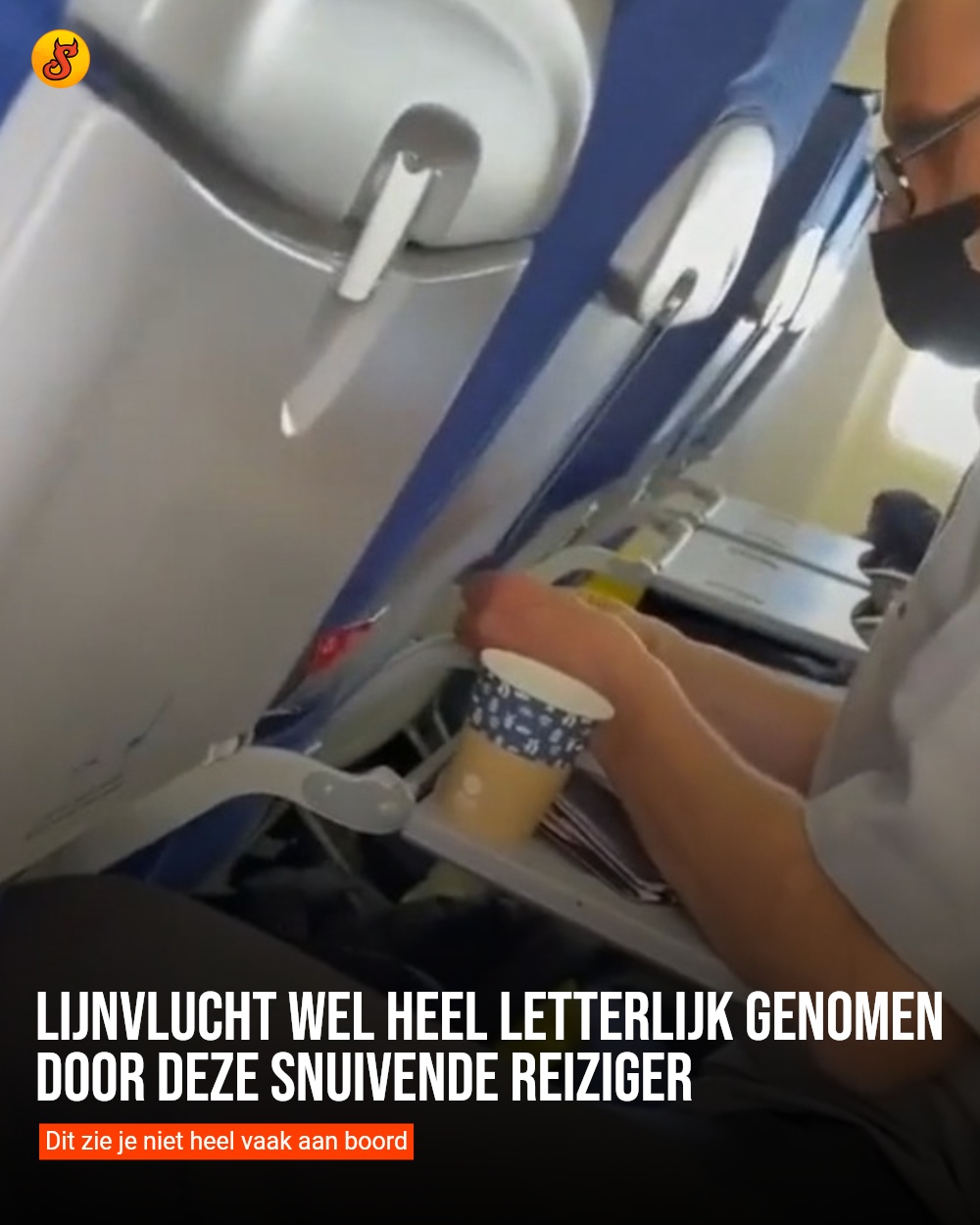 Lijnvlucht wel heel letterlijk genomen door deze snuivende reiziger