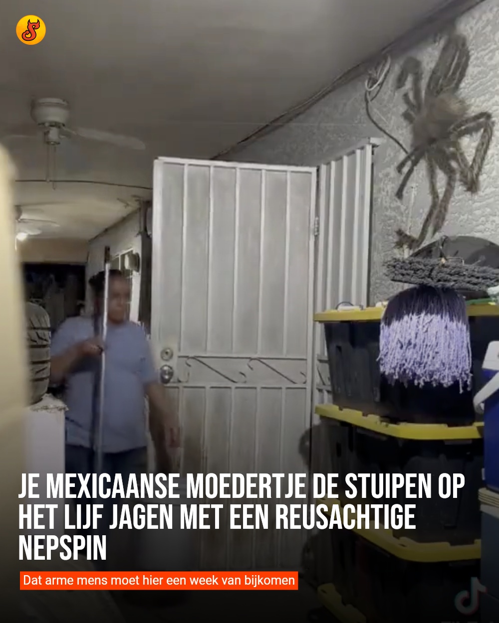 Je Mexicaanse moedertje de stuipen op het lijf jagen met een reusachtige nepspin