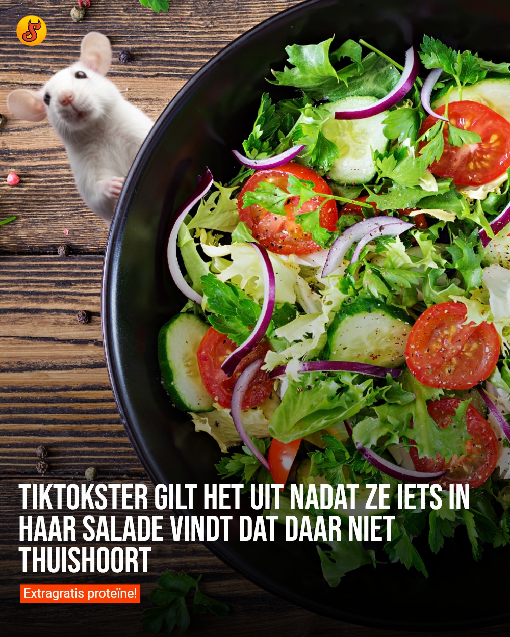 TikTokster gilt het uit nadat ze iets in haar salade vindt dat daar niet thuishoort