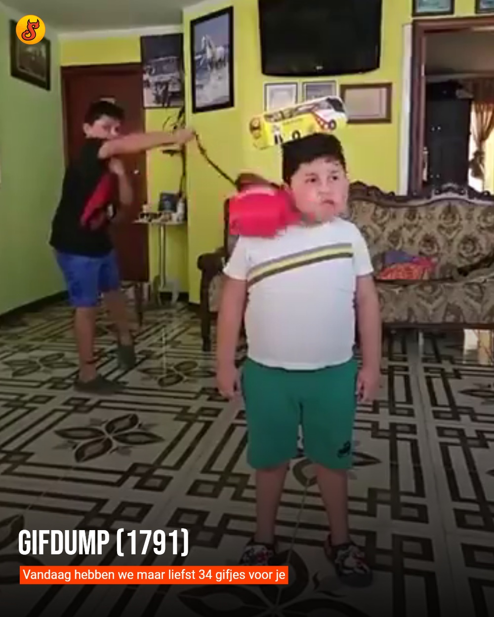 Gifdump (1791)