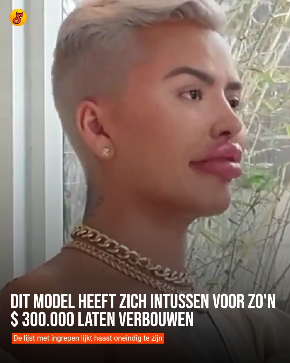 Dit model heeft zich intussen voor zo'n $ 300.000 laten verbouwen
