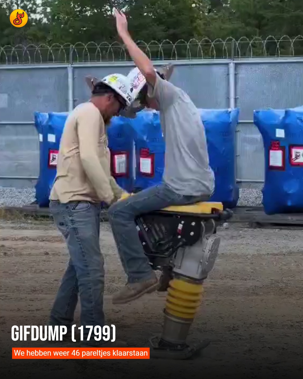 Gifdump (1799)