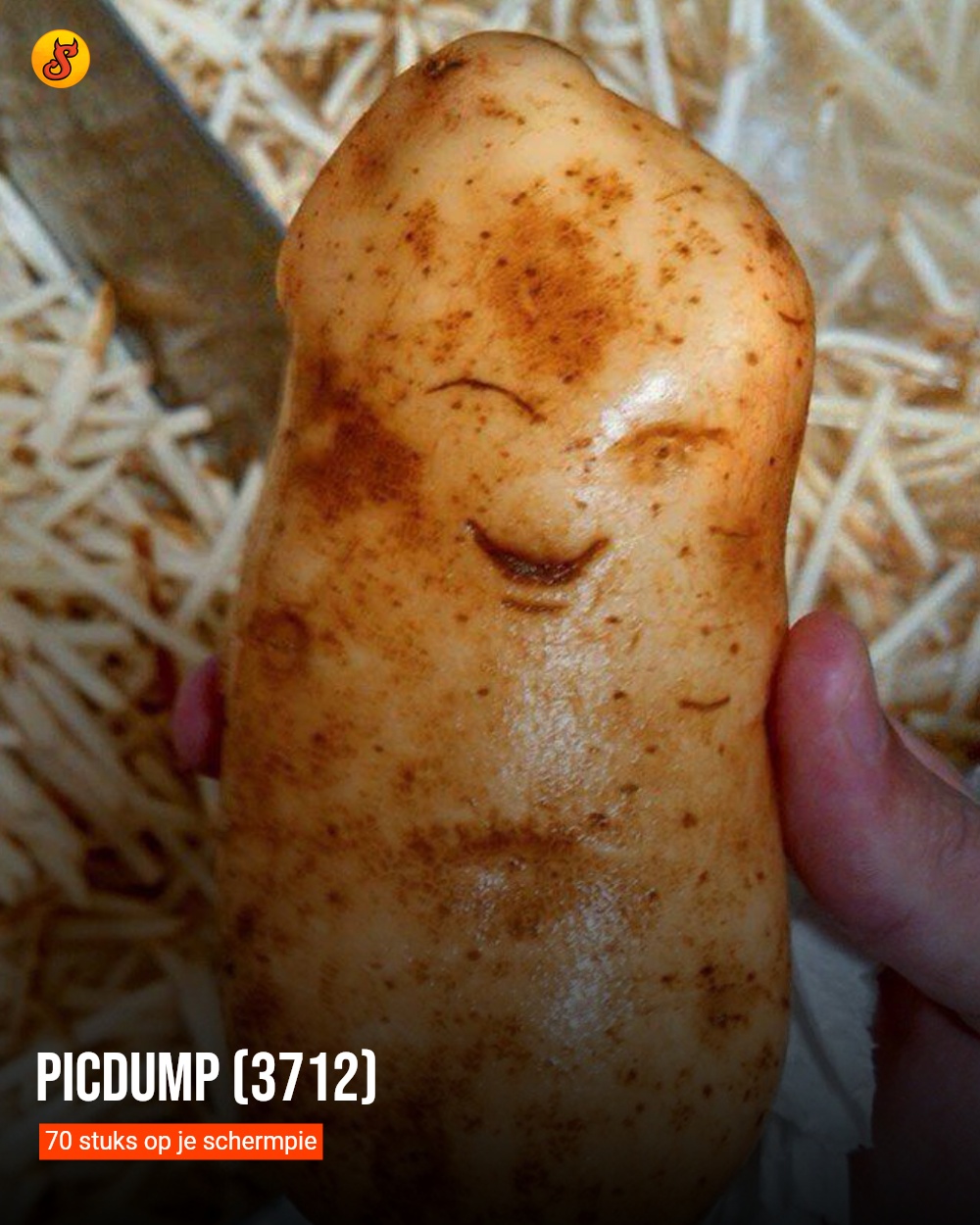 Picdump (3712)