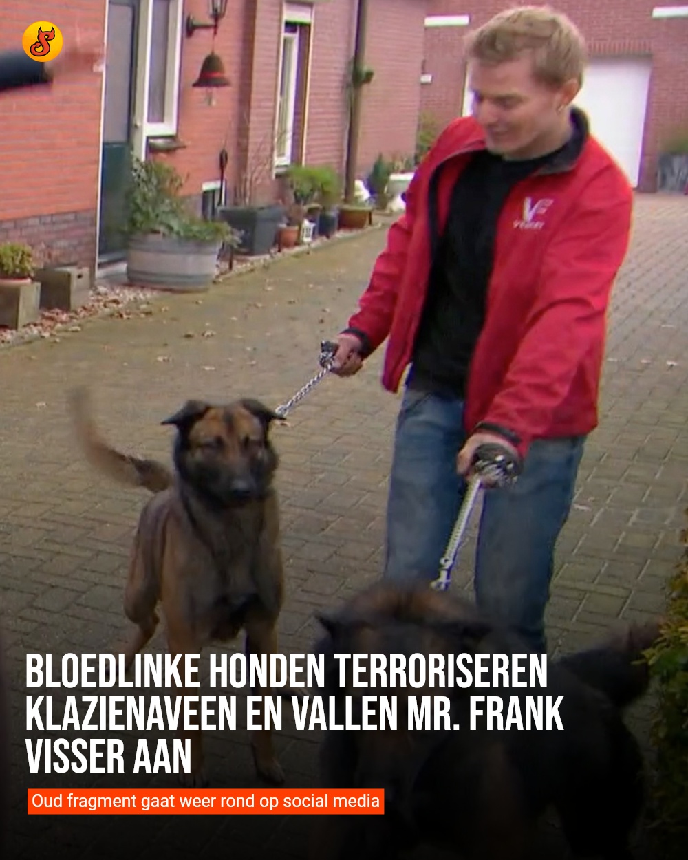 Bloedlinke honden terroriseren Klazienaveen en vallen Mr. Frank Visser aan