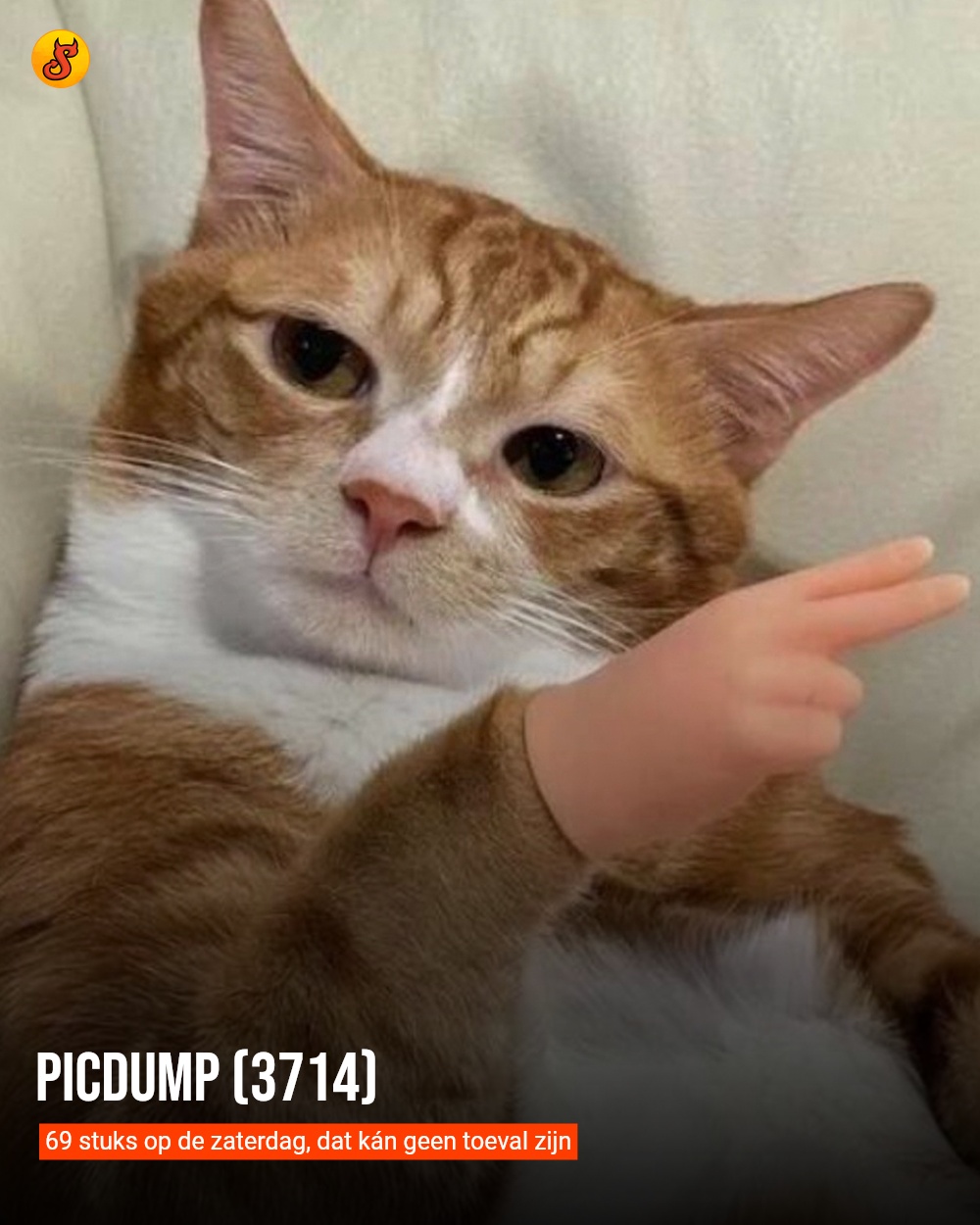 Picdump (3714)
