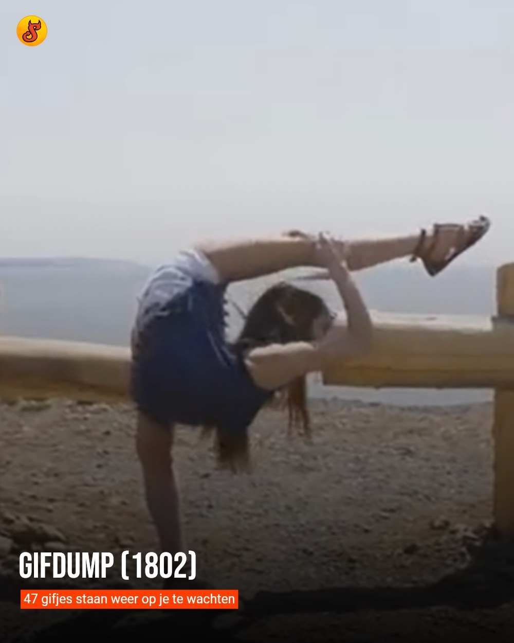 Gifdump (1802)