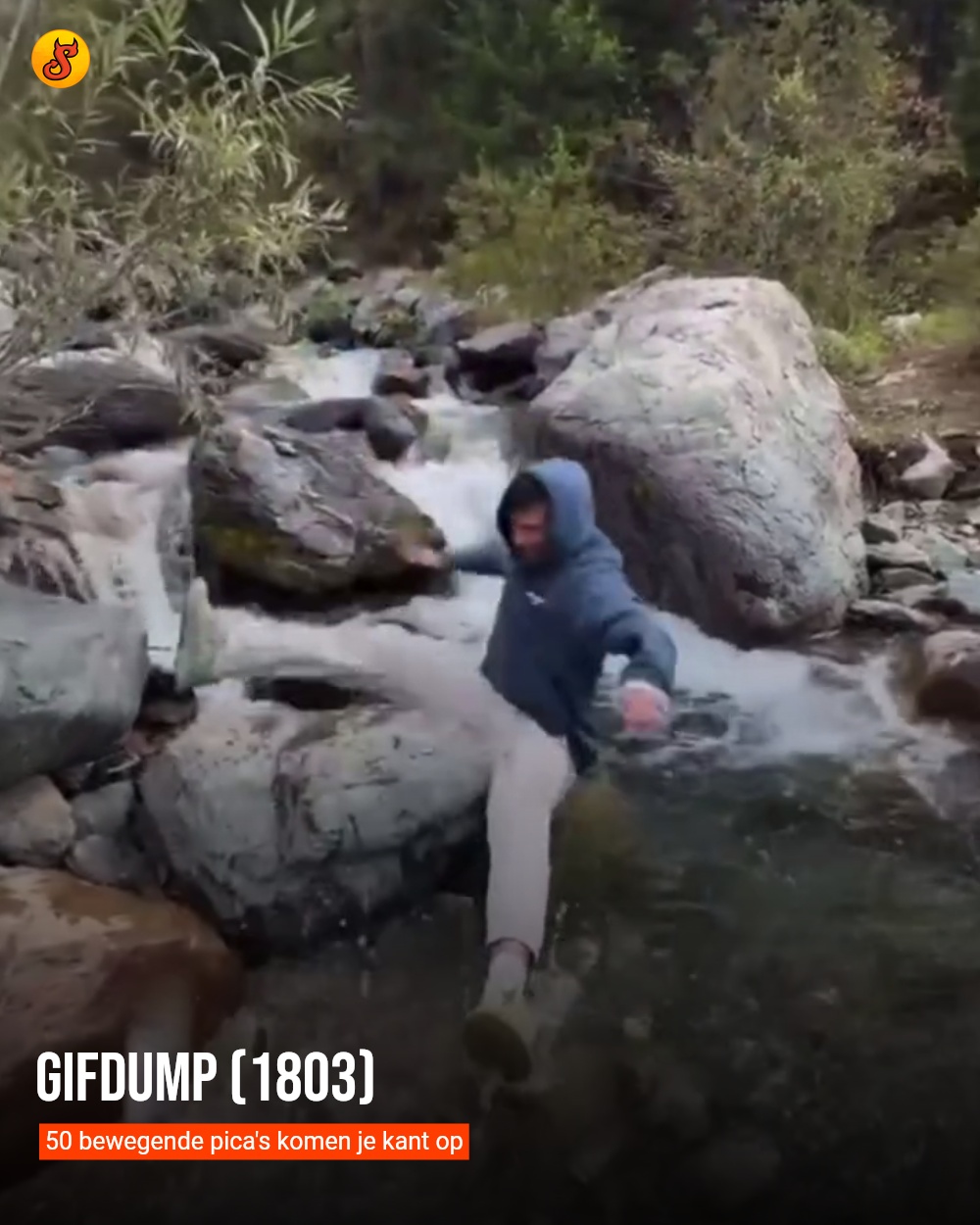Gifdump (1803)