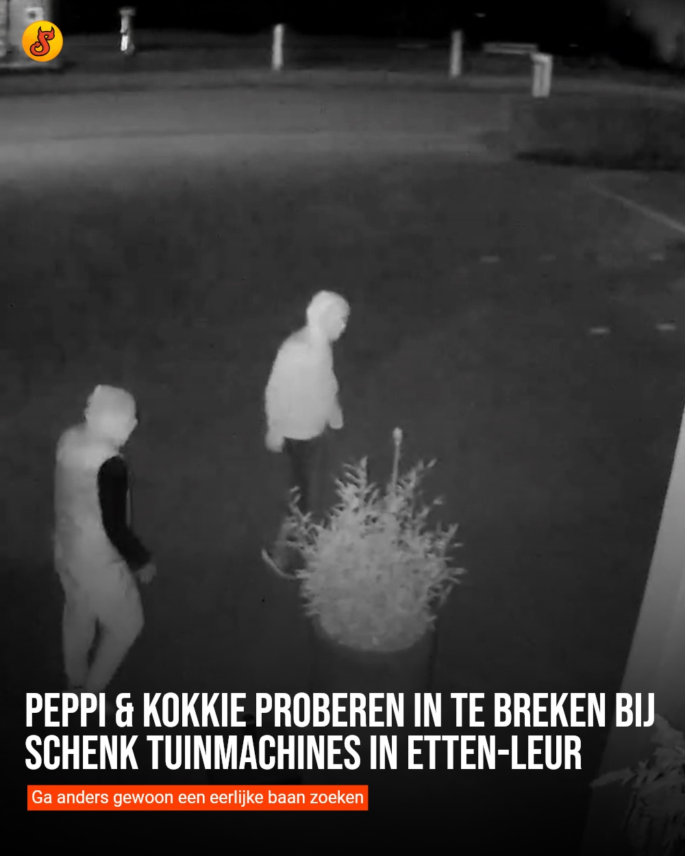 Peppi & kokkie proberen in te breken bij Schenk Tuinmachines in Etten-Leur