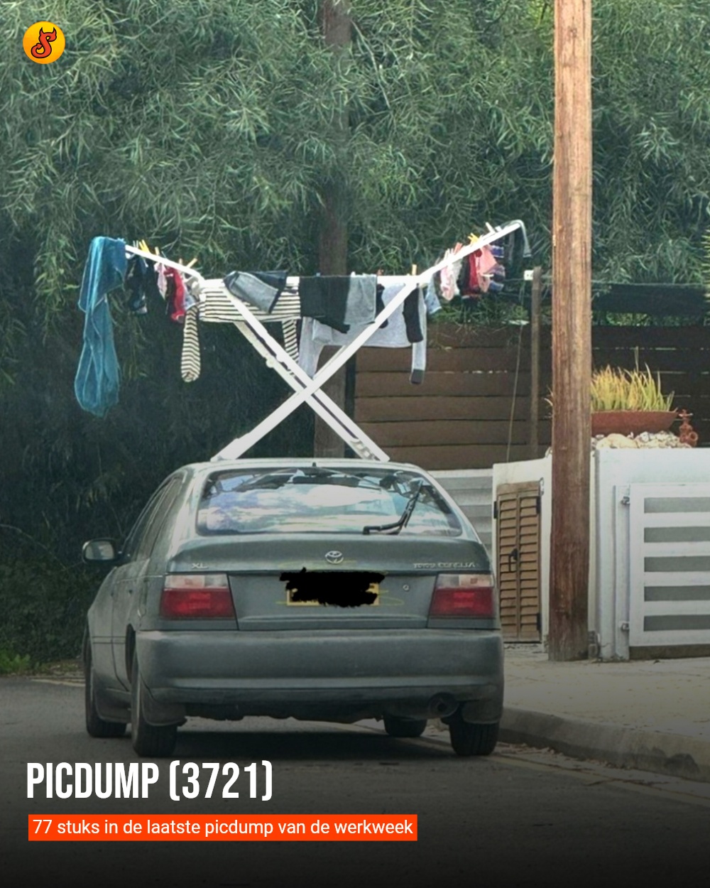 Picdump (3721)