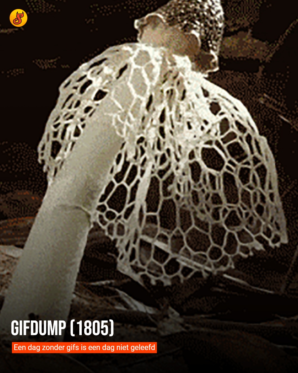 Gifdump (1805)