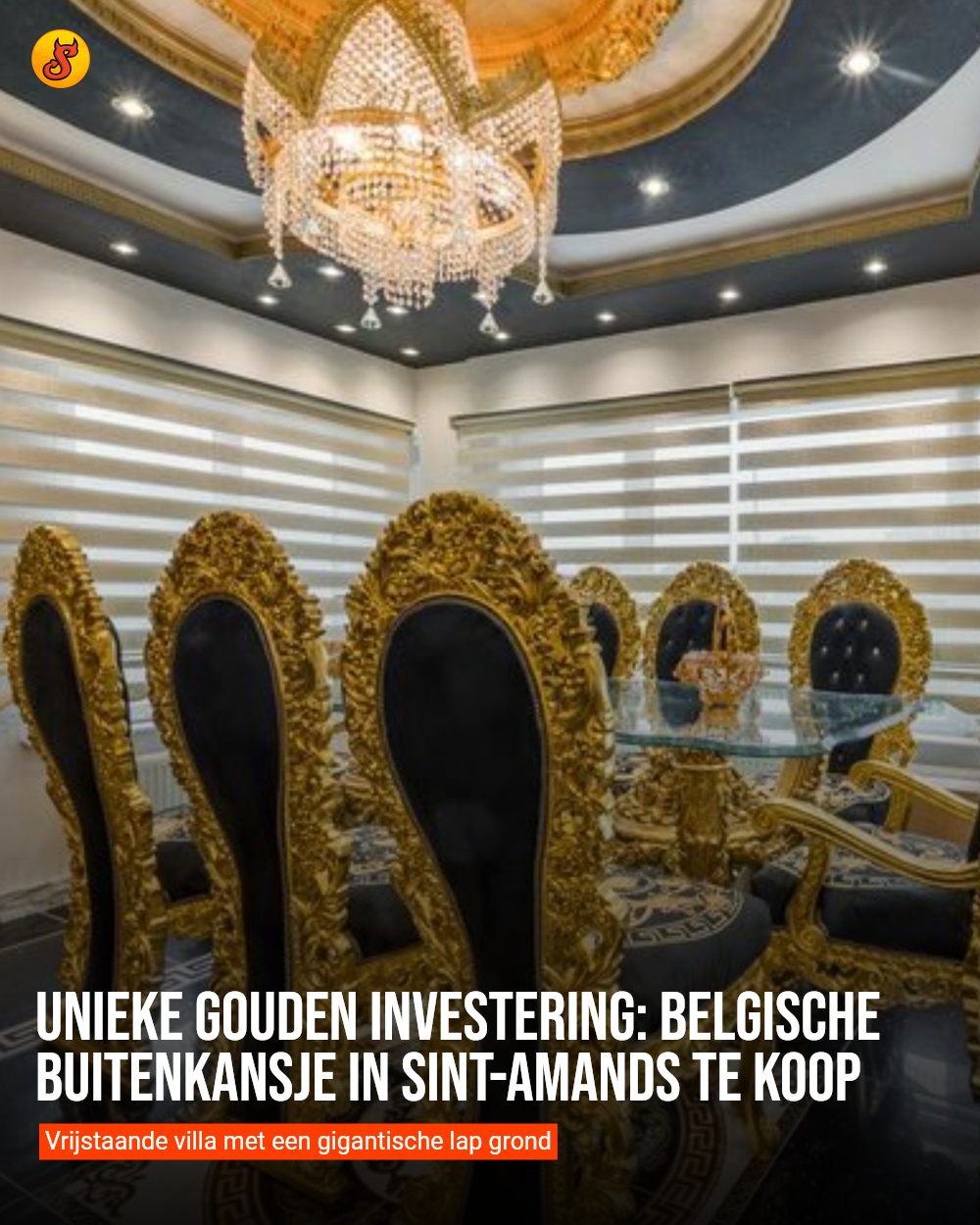 Unieke gouden investering: Belgische buitenkansje in Sint-Amands te koop