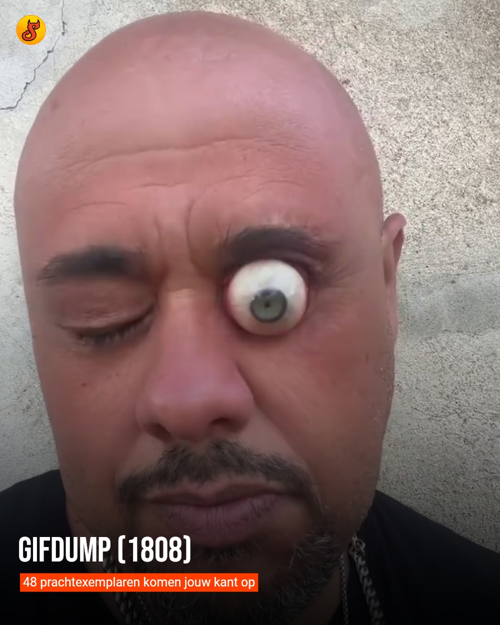 Gifdump (1808)