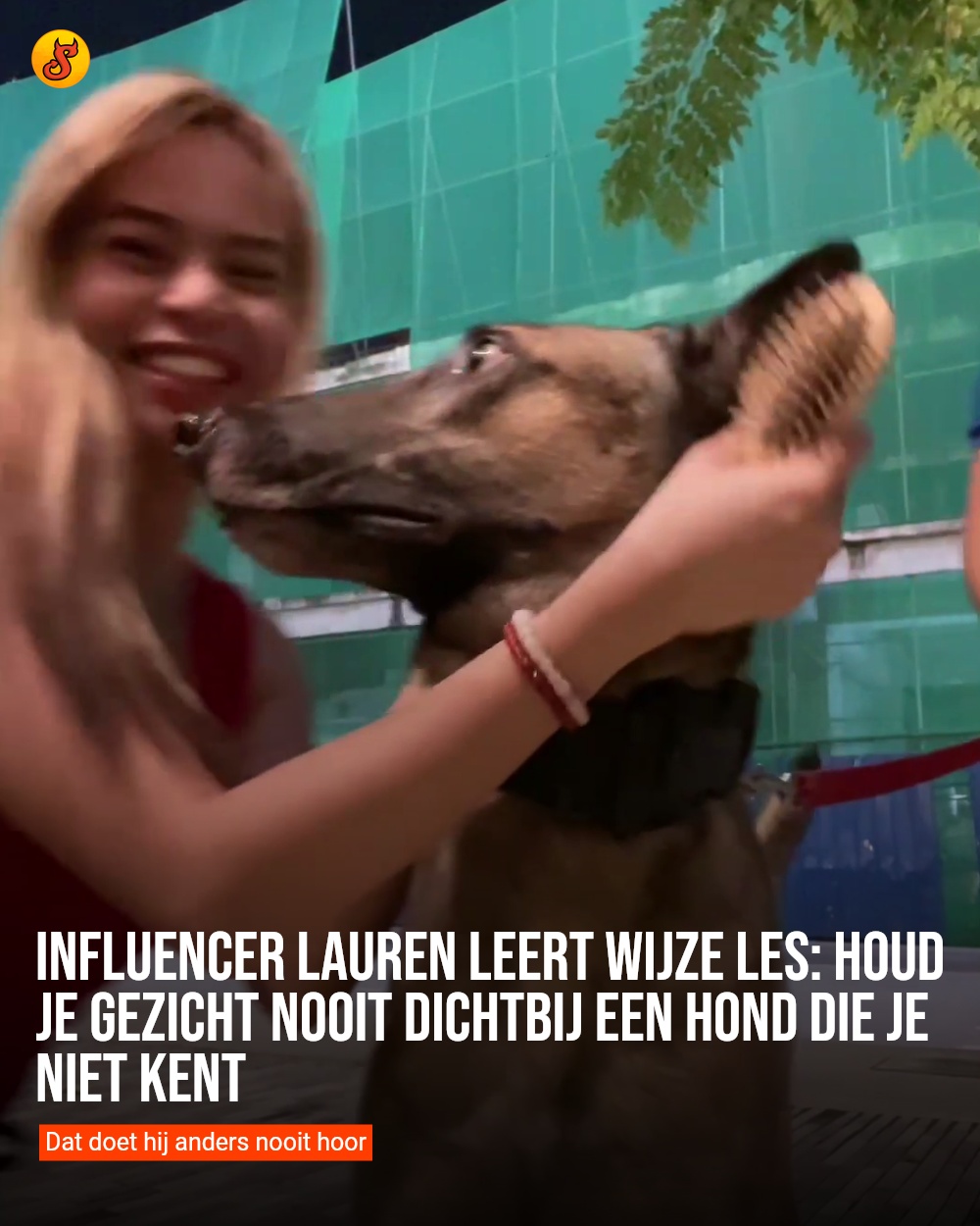 Influencer Lauren leert wijze les: Houd je gezicht nooit dichtbij een hond die je niet kent