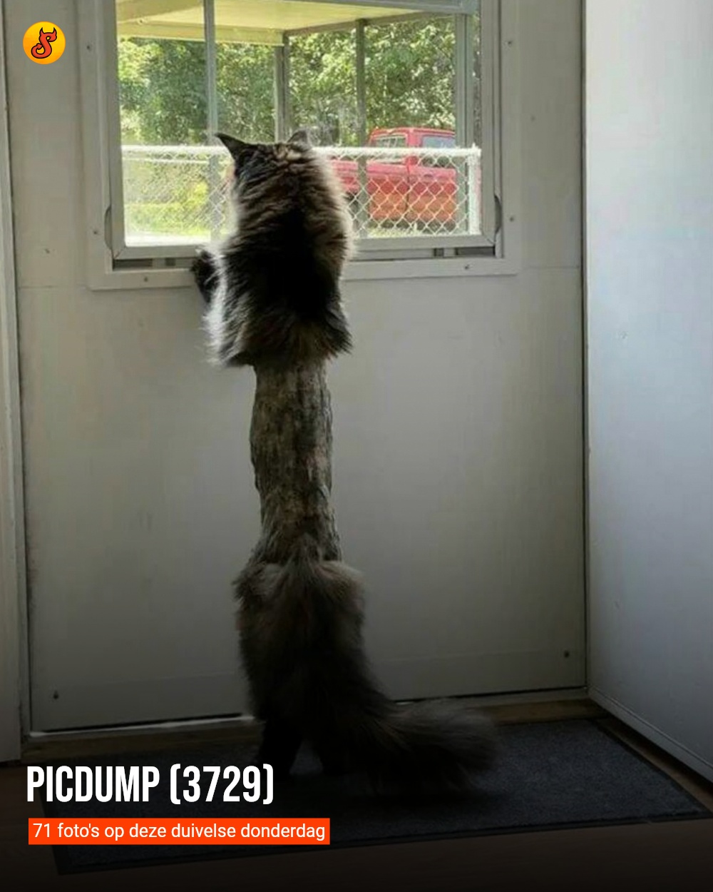 Picdump (3729)