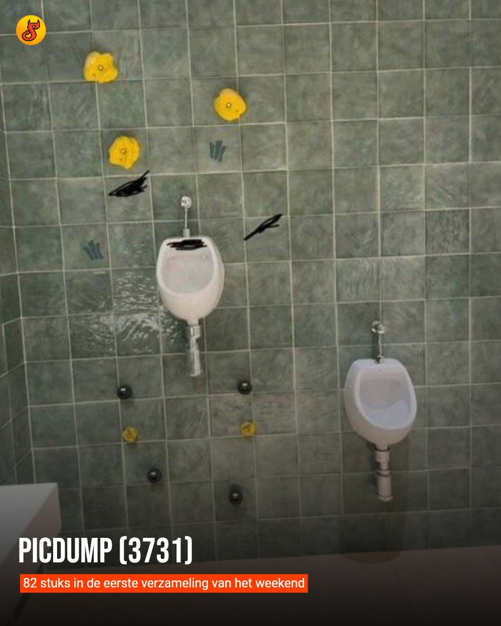 Picdump (3731)