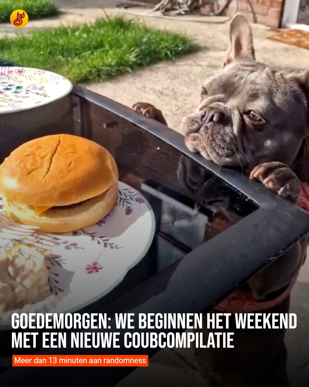Goedemorgen: We beginnen het weekend met een nieuwe coubcompilatie