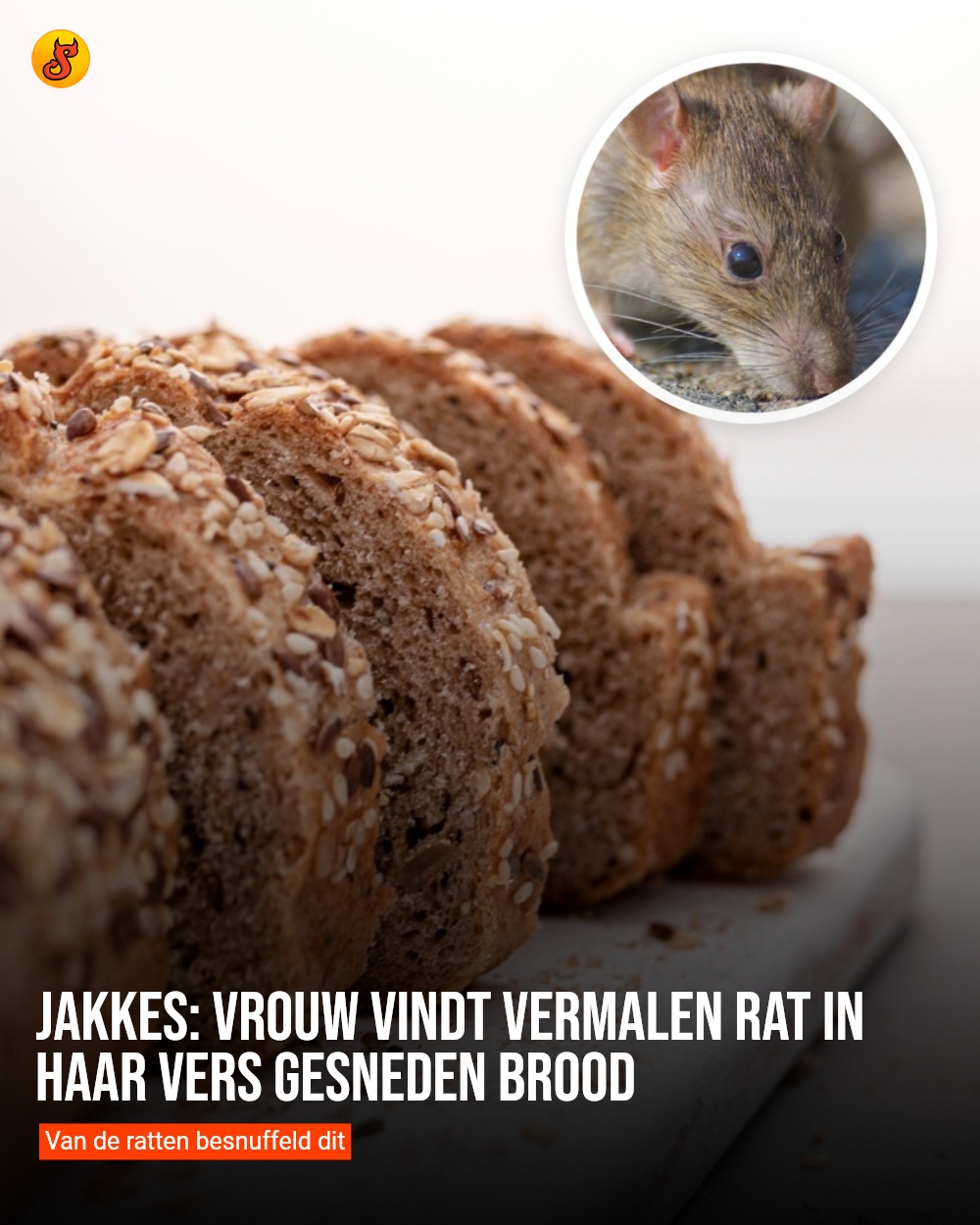 Jakkes: Vrouw vindt vermalen rat in haar vers gesneden brood