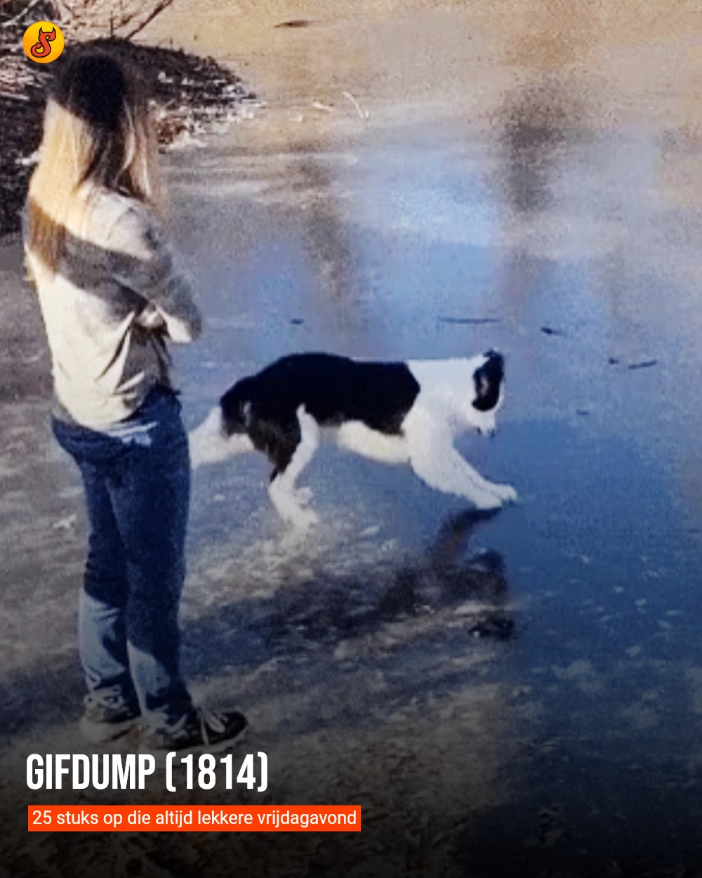Gifdump (1814)