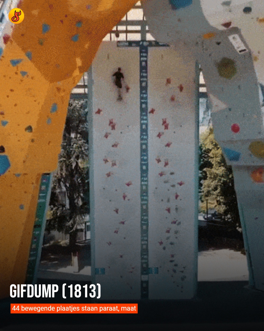 Gifdump (1813)