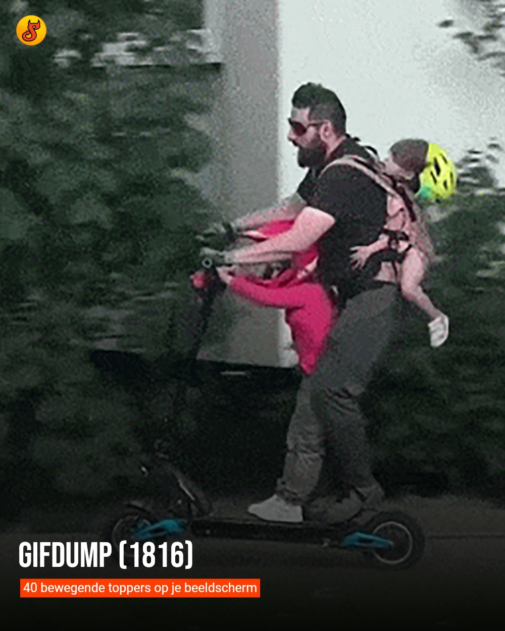 Gifdump (1816)