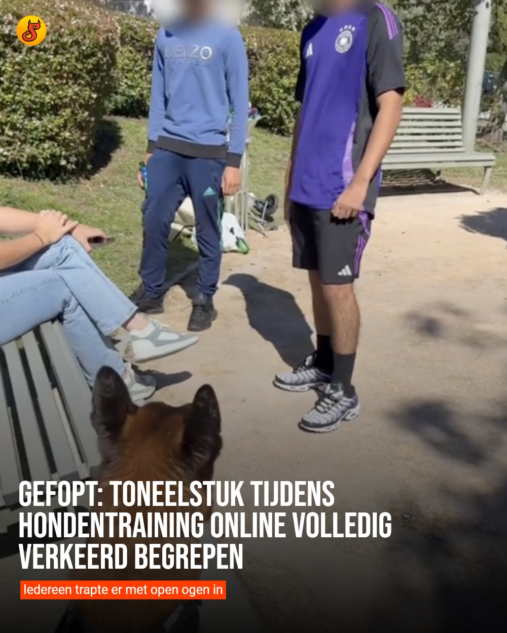 Gefopt: Toneelstuk tijdens hondentraining online volledig verkeerd begrepen
