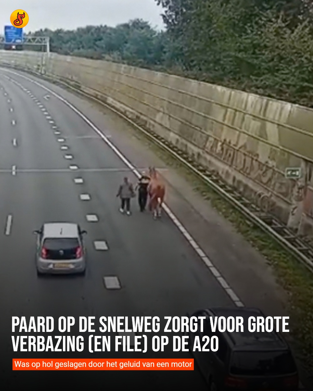 Paard op de snelweg zorgt voor grote verbazing (en file) op de A20