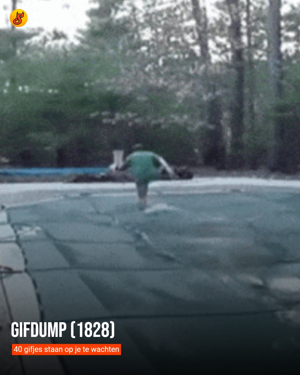 Gifdump (1828)
