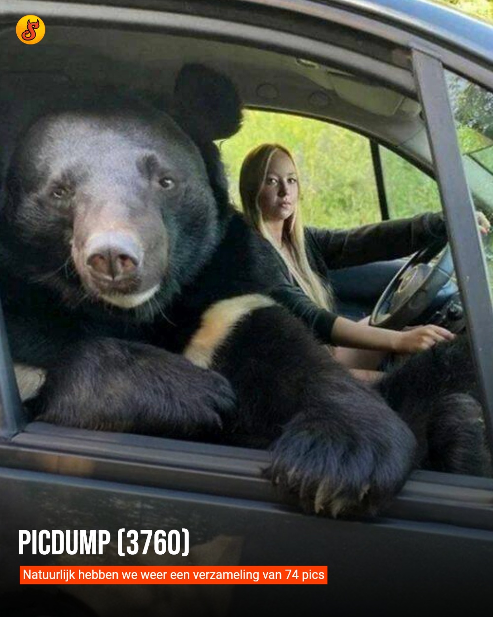 Picdump (3760)