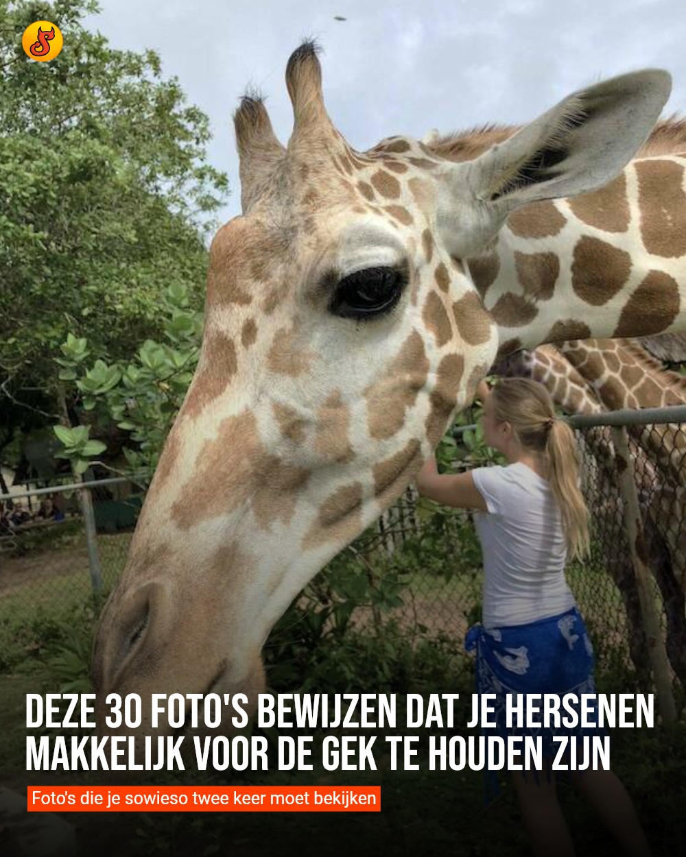 Deze 30 foto's bewijzen dat je hersenen makkelijk voor de gek te houden zijn