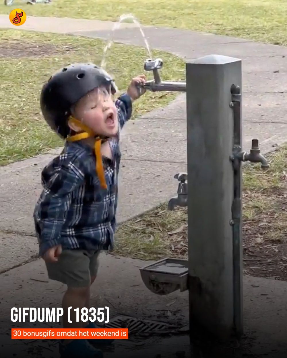 Gifdump (1835)